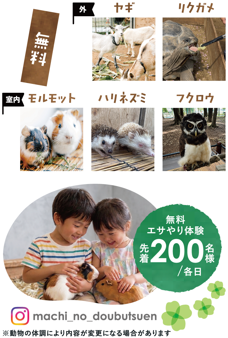 ヤギ・リクガメ（外）／モルモット・ハリネズミ・フクロウ（室内）／無料エサやり体験 先着200名様 各日